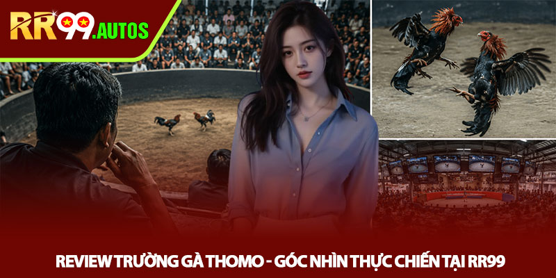 Review trường gà Thomo - Góc nhìn thực chiến tại RR99 1 Review trường gà Thomo - Góc nhìn thực chiến tại RR99
